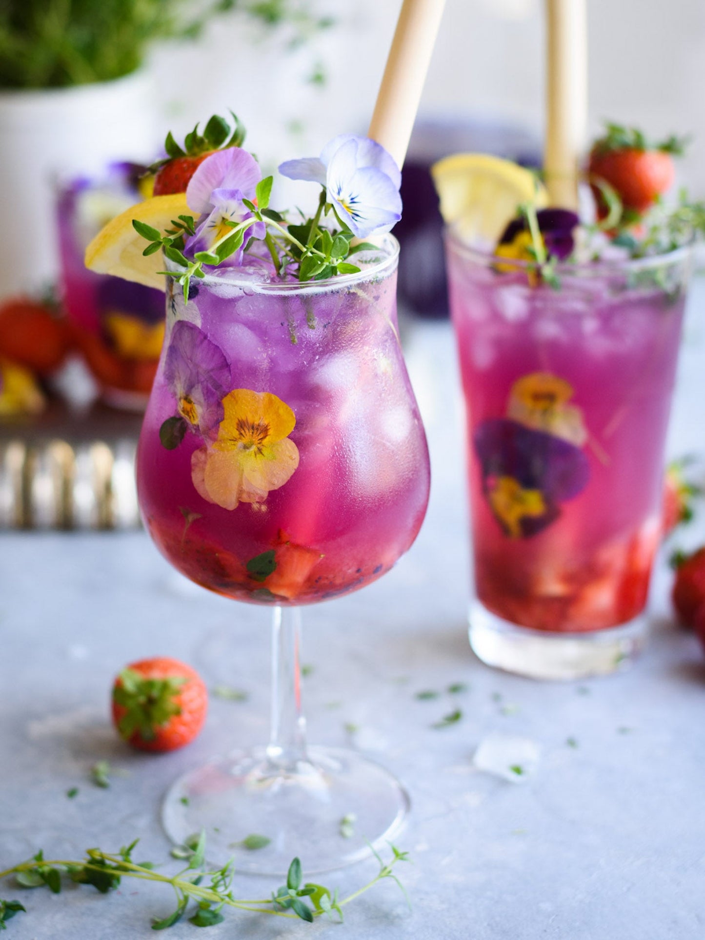 Butterfly Pea - Short Date